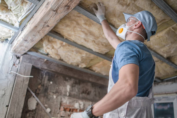 Best Commercial Insulation in Hermosa Beach, CA