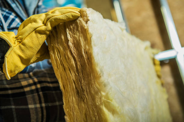 Best Cellulose Insulation in Hermosa Beach, CA