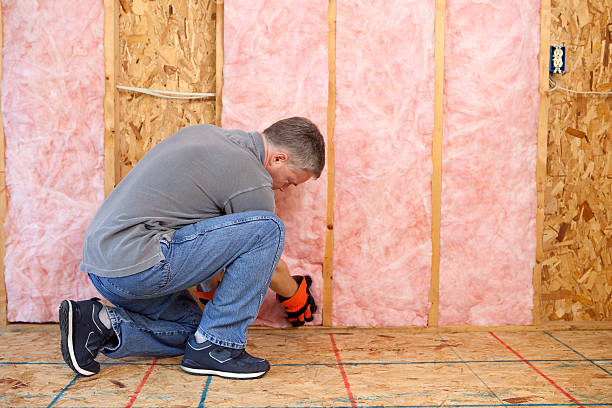 Best Insulation for Specific Applications in Hermosa Beach, CA
